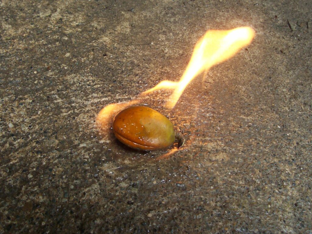 Нефтяное дерево